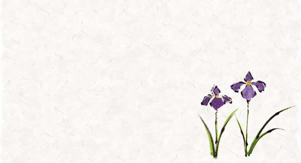 花菖蒲　イラスト
