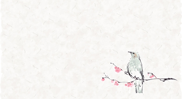 ヒヨドリ　イラスト